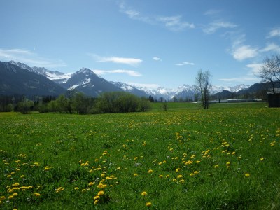 Holiday apartment Fewoalpin am See Appartement/FewoAppartement/FewoAppartement/FewoAppartement/Fewo Ferienwohnung Alpin - Environment photo 30