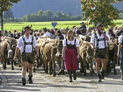 Holiday apartment Fewoalpin am See Appartement/FewoAppartement/FewoAppartement/FewoAppartement/Fewo Ferienwohnung Alpin - Environment photo 33