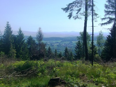 Holiday apartment Haus Heidegarten Terrace - Environment photo 20