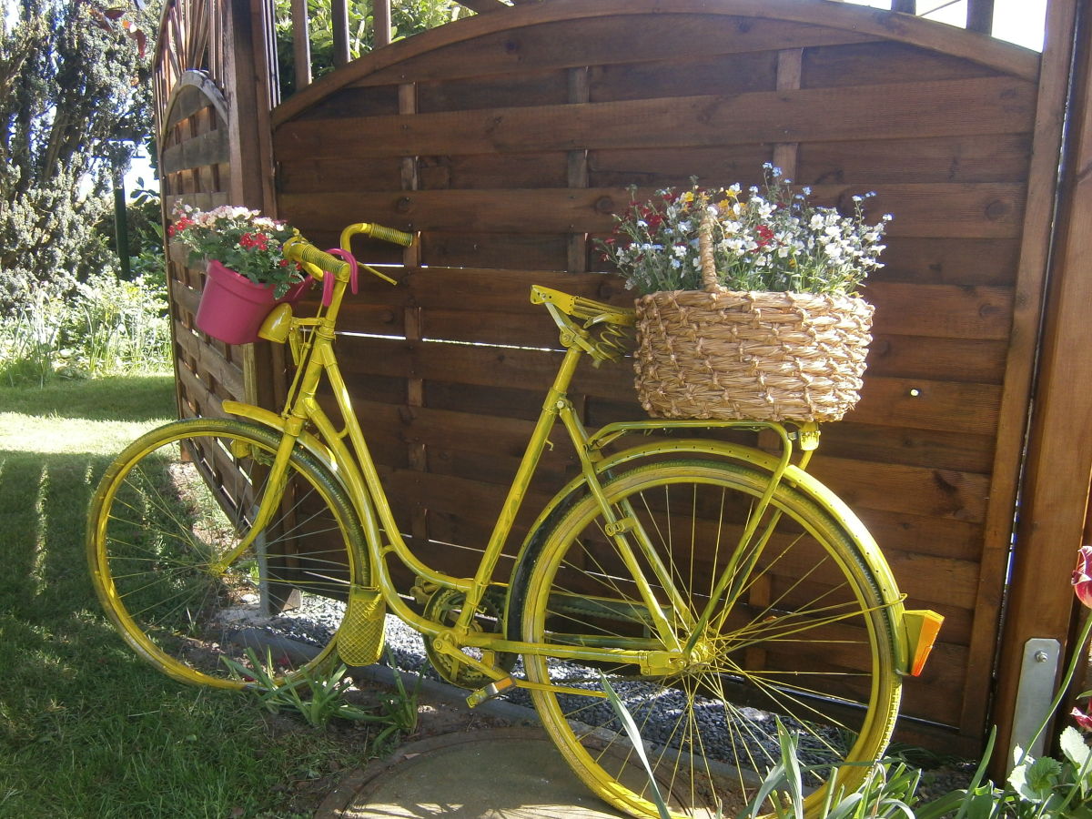 Holiday apartment Buchenblick - Outdoor photo 5