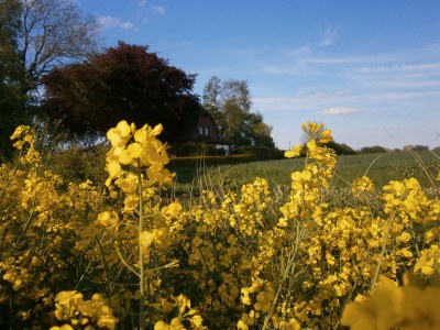 Holiday apartment Buchenblick in Hasselberg - Holiday apartment