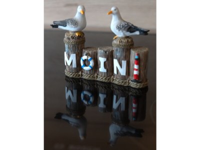 Holiday apartment Buchenblick - Outdoor photo 2