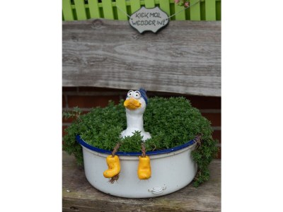 Holiday apartment Buchenblick - Outdoor photo 9