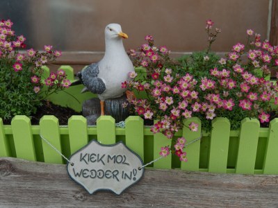 Holiday apartment Buchenblick - Outdoor photo 10