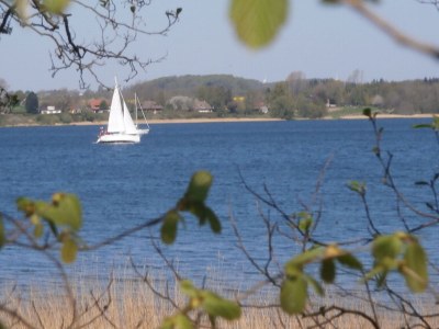 Holiday apartment Buchenblick - Environment photo 29