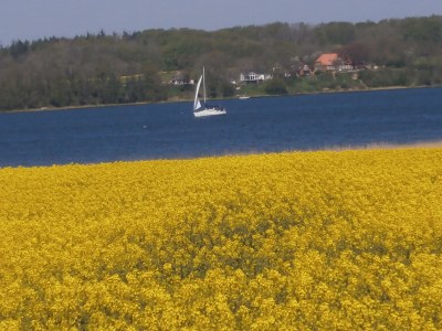 Holiday apartment Buchenblick - Environment photo 30