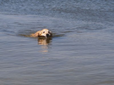 Holiday apartment Buchenblick - Environment photo 31