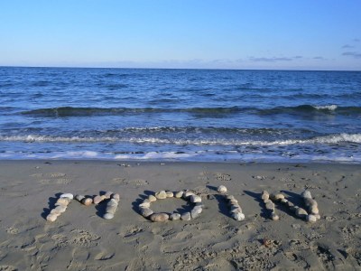 Holiday apartment Buchenblick - Environment photo 33