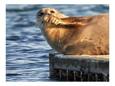 Holiday apartment Buchenblick - Environment photo 37