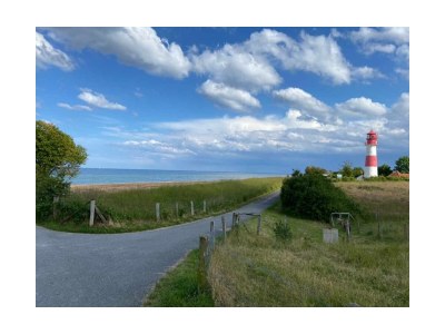 Holiday apartment Buchenblick - Environment photo 39