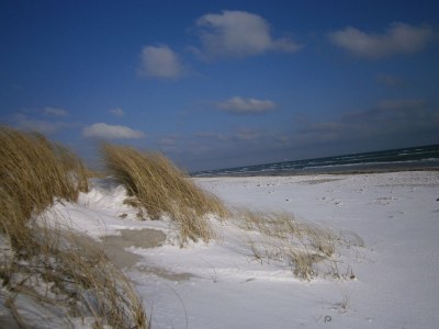 Holiday apartment Buchenblick - Document photo 43