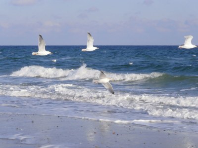 Holiday apartment Buchenblick - Document photo 44