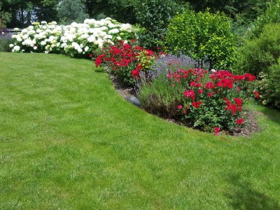 Holiday apartment holiday home Güse - Outdoor photo 7