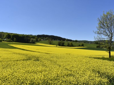 Holiday apartment holiday home Güse - Environment photo 21