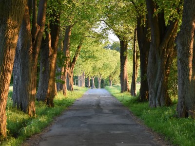 Holiday apartment holiday home Güse - Environment photo 26