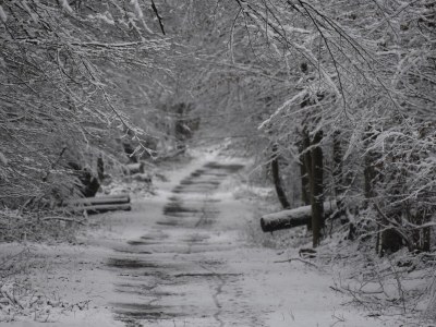 Holiday apartment holiday home Güse - Environment photo 31