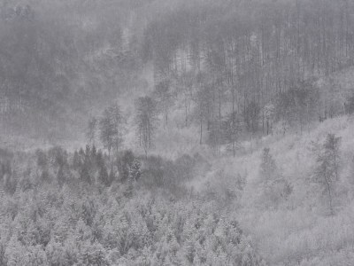 Holiday apartment holiday home Güse - Environment photo 32