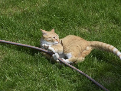 Holiday apartment holiday home Güse - Environment photo 34