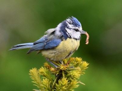 Holiday apartment holiday home Güse - Environment photo 35