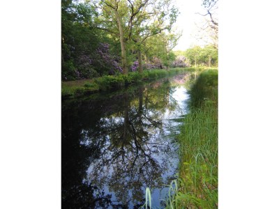 Holiday house Dunopark 1-6 (F) - Environment photo 18