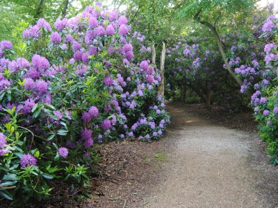 Holiday house Dunopark 1-6 (F) - Environment photo 21