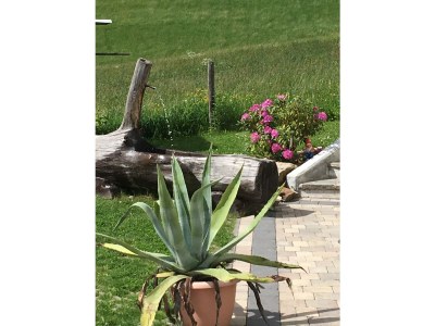 Holiday apartment Fankhauser - Outdoor photo 7