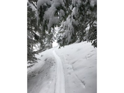 Holiday apartment Fankhauser - Outdoor photo 9