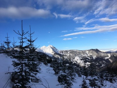 Holiday apartment Fankhauser - Environment photo 28