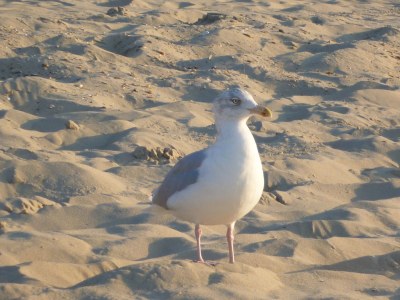 Holiday house DO20 Quietly located holiday home - Environment photo 16