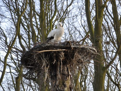 Holiday apartment Sunny Days - Environment photo 10