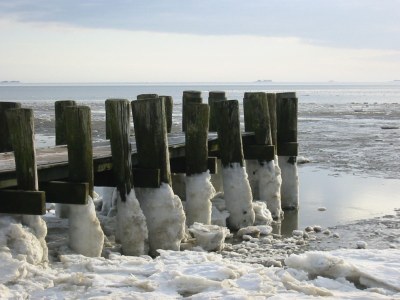 Holiday apartment Sunny Days - Environment photo 11