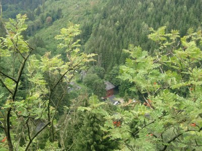 Holiday apartment Brandenburg 2 - Outdoor photo 8