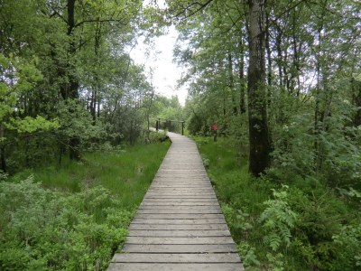 Holiday apartment Brandenburg 2 - Environment photo 21