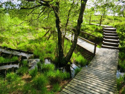 Holiday apartment Brandenburg 2 - Environment photo 22