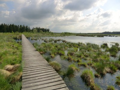 Holiday apartment Brandenburg 2 - Environment photo 23