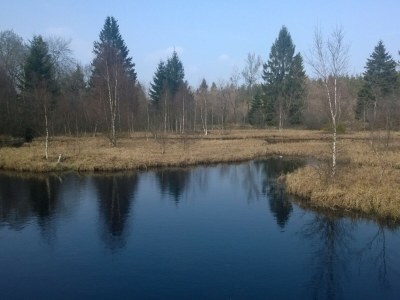 Holiday apartment Brandenburg 2 - Environment photo 26