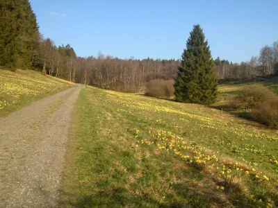 Holiday apartment Brandenburg 2 - Environment photo 27