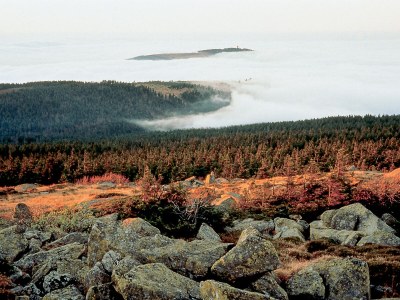 Holiday village H&P Nature Adventure Village "Blauvogel" "blue bird" - Environment photo 15