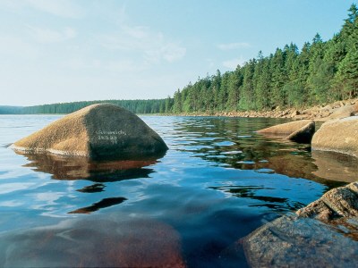 Holiday village H&P Nature Adventure Village "Blauvogel" "blue bird" - Environment photo 16