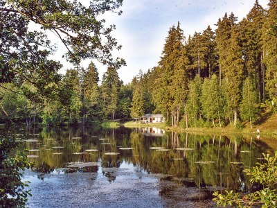 Holiday village H&P Nature Adventure Village "Blauvogel" "blue bird" - Environment photo 19