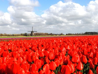 Holiday house Chayenne - Environment photo 21