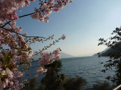 Holiday apartment Cannobio - Environment photo 22