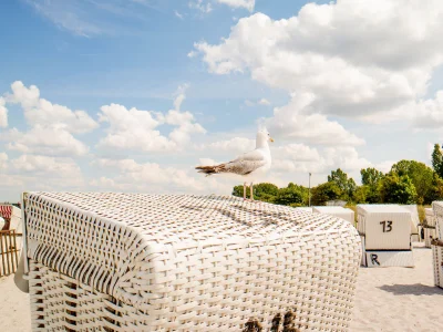 Holiday apartment H&P Vacation-Residence Haffblick - Environment photo 8