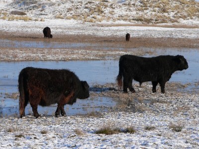 Villa Karekiet - Environment photo 34