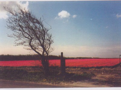 Villa Karekiet - Environment photo 36