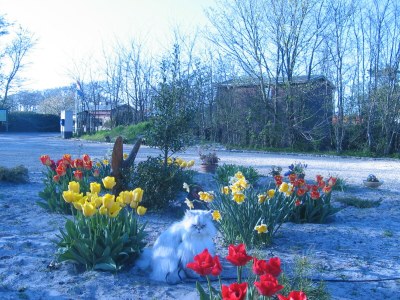 Villa Karekiet - Environment photo 39