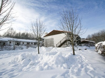 Holiday apartment H&P Vacation Park Falkenstein - Outdoor photo 10