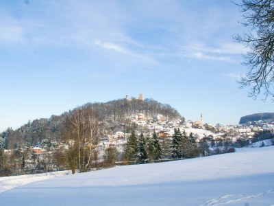 Holiday apartment H&P Vacation Park Falkenstein - Environment photo 19