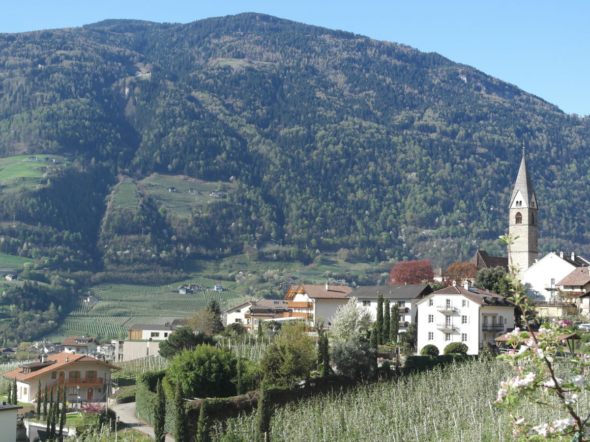 Holiday apartment Voglsang - Outdoor photo 3