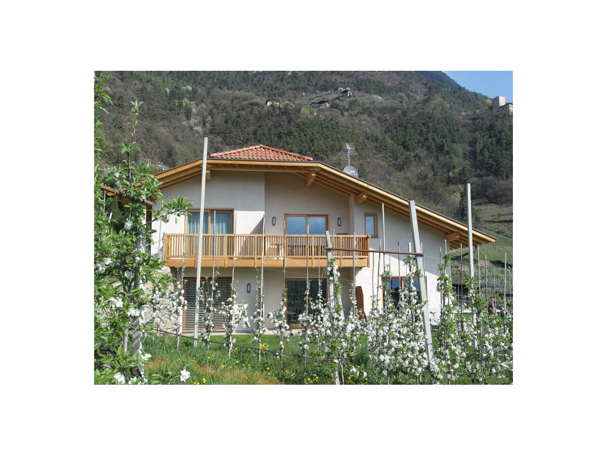 Holiday apartment Voglsang - Outdoor photo 5